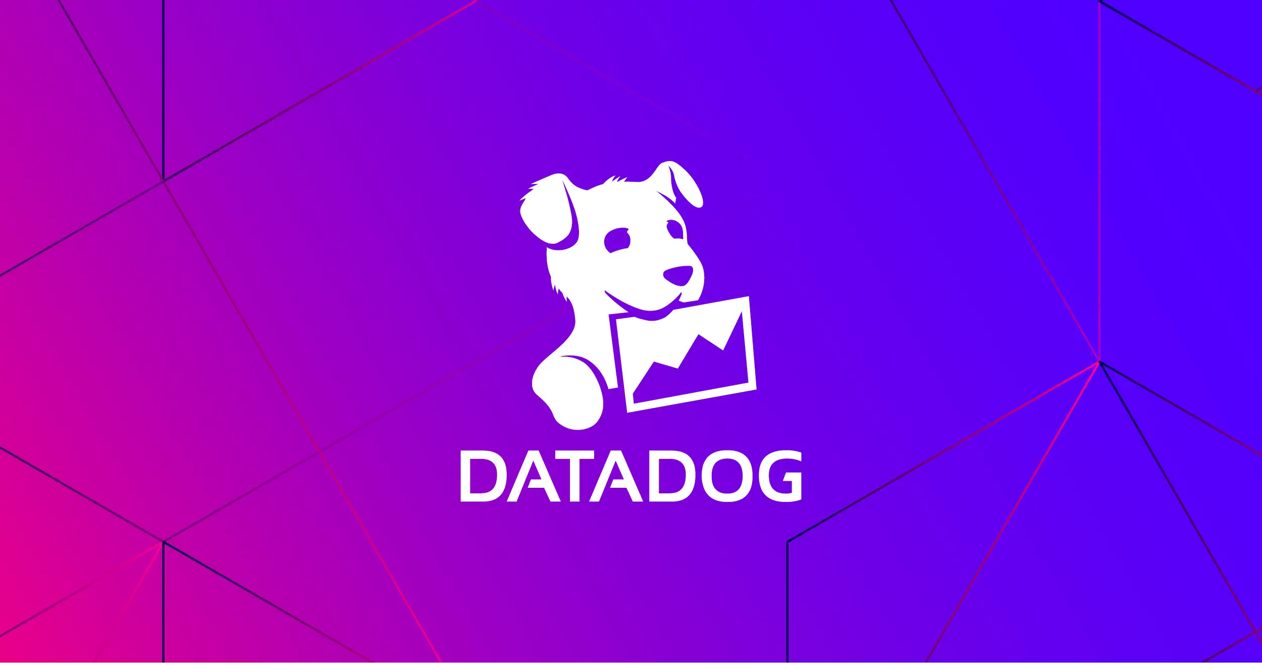 Datadog Agent Observability product overview from its official website