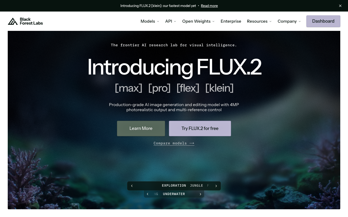 FLUX 2 by Black Forest Labs demonstrating high-quality image generation output