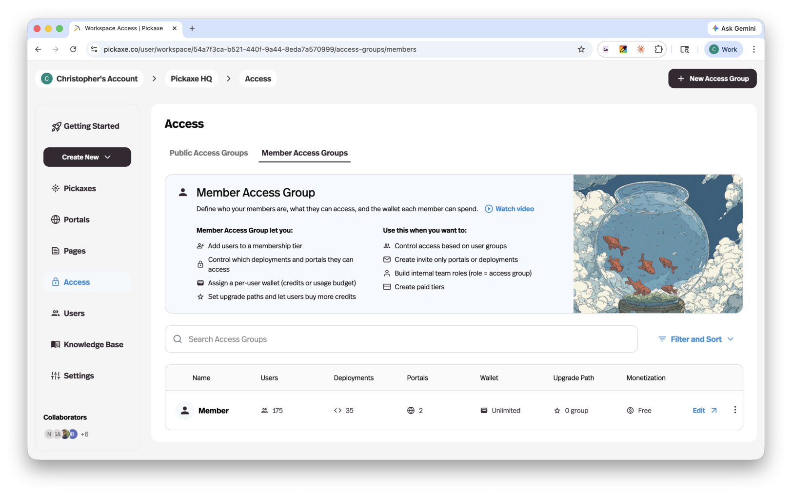 Member Access Groups