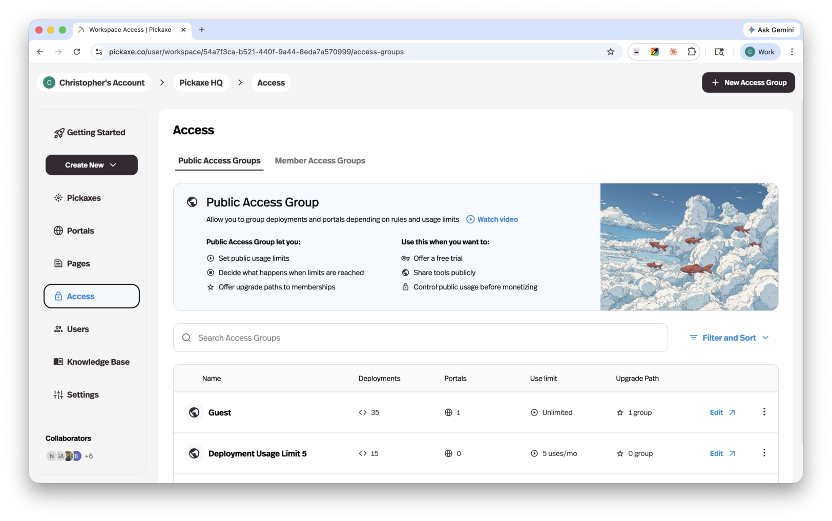 Public Access Groups